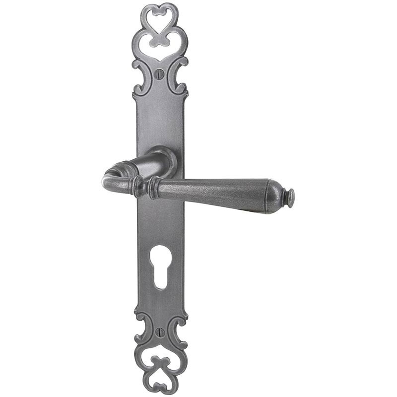 Ensemble de porte Manoir 2 Longs Cols avec protecteur de cylindre - BRIONNE